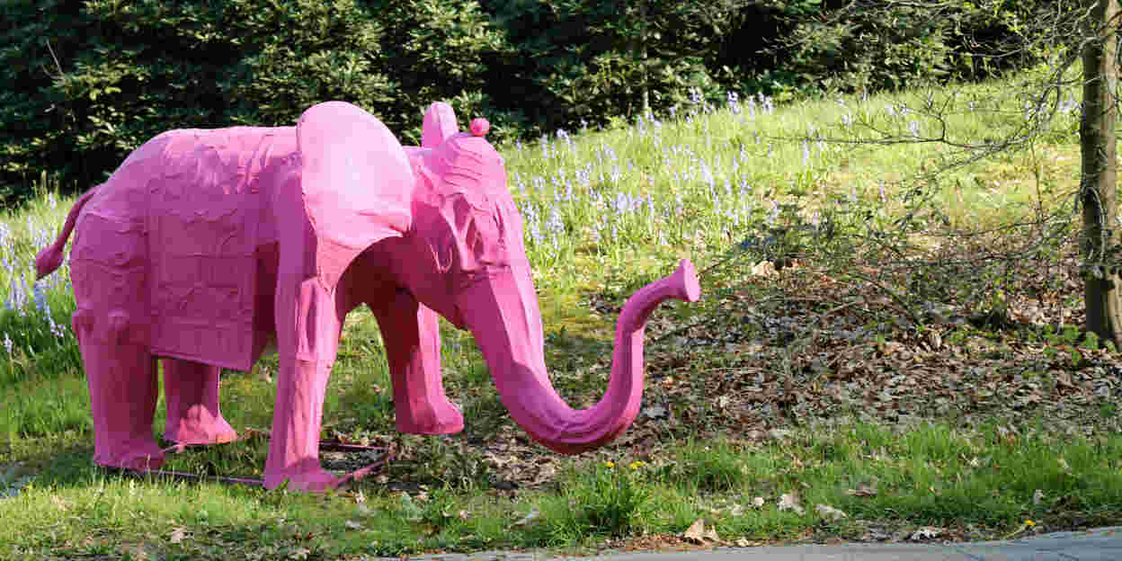 Kom de Giro 8 mei bekijken bij Burgers' Zoo!
