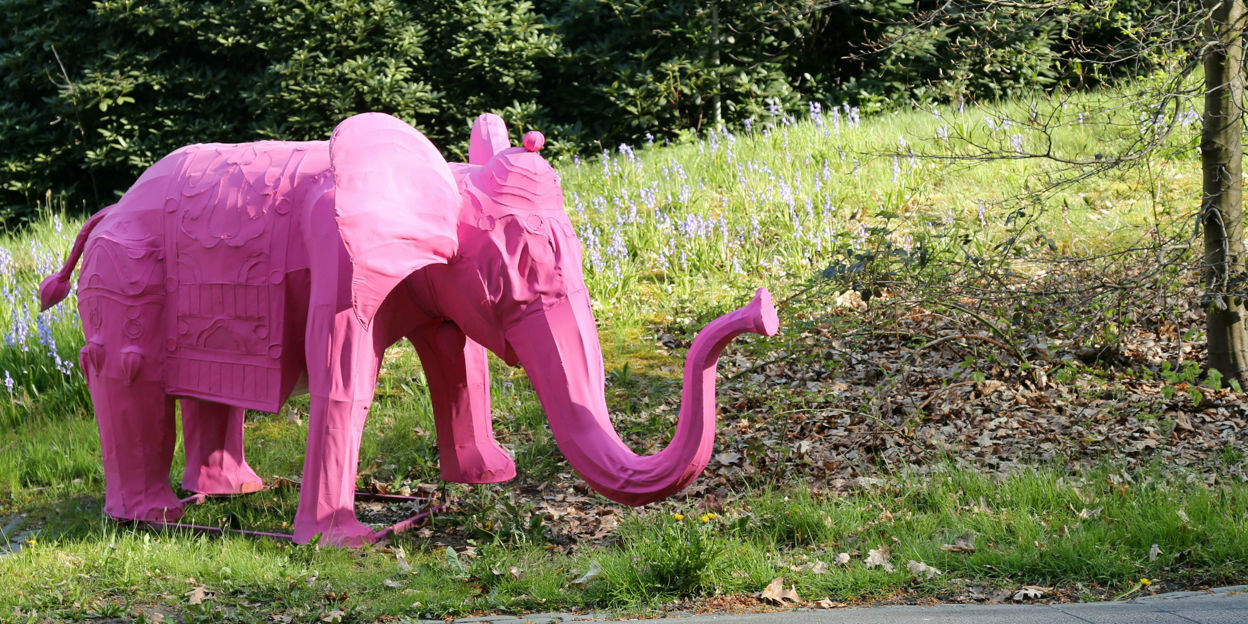 Kom de Giro 8 mei bekijken bij Burgers' Zoo!