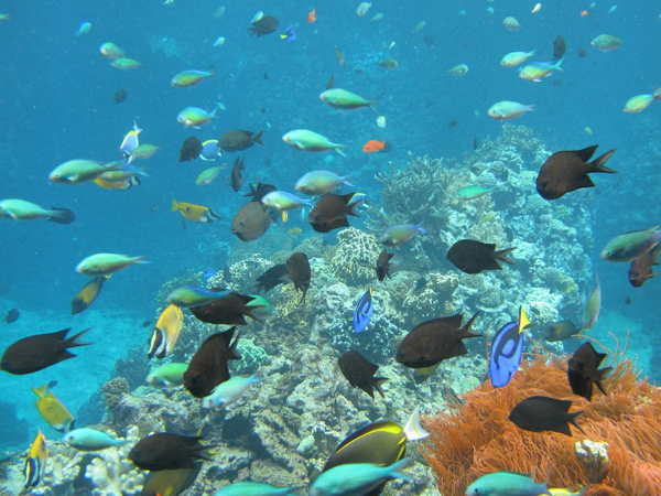 77165d1f-6dc8-419f-b622-78daa802d5c6