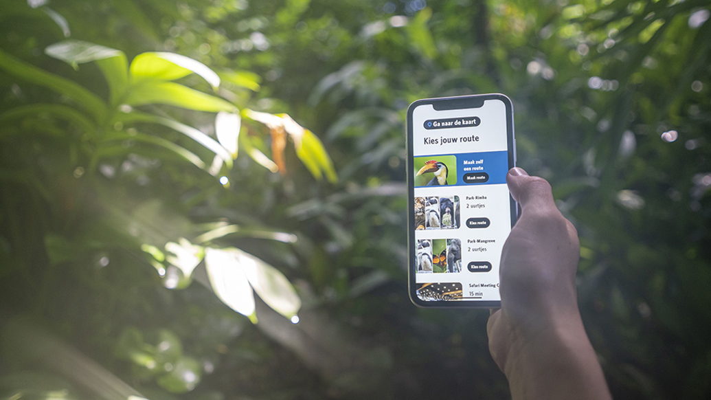 In de app maakt u een eigen route, of kiest een van de standaardroutes