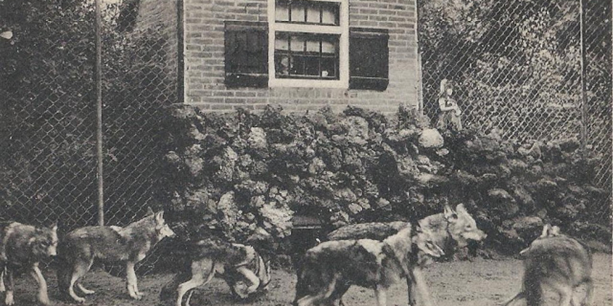 Roodkapje