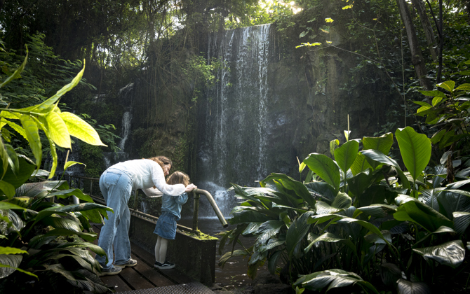 Burgers' Zoo prolongeert twee Michelinsterren