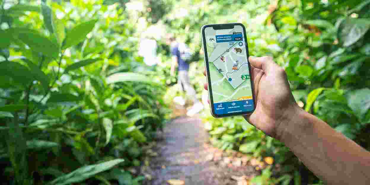 Augmented reality gidst bezoeker door de jungle