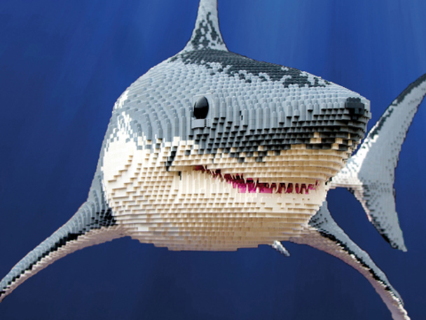 Avontuur der ontdekkingen