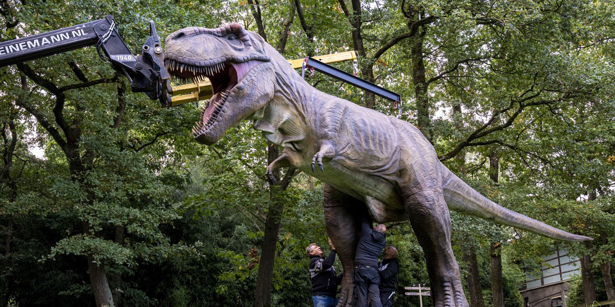 Burgers' Zoo hijst bovenlijf op vier meter hoge dino