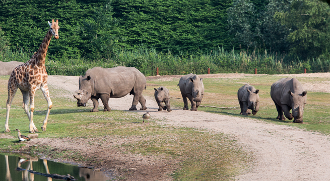 Educatie in Burgers' Zoo | Burgers' Zoo in Arnhem