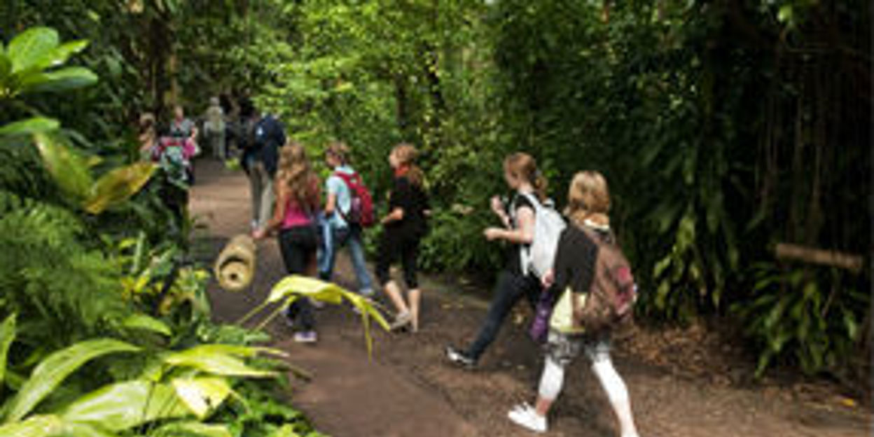 Online paaseieren zoeken in Burgers' Zoo
