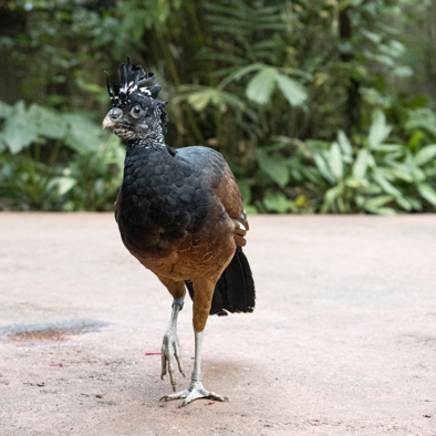 Bedreiging en bescherming