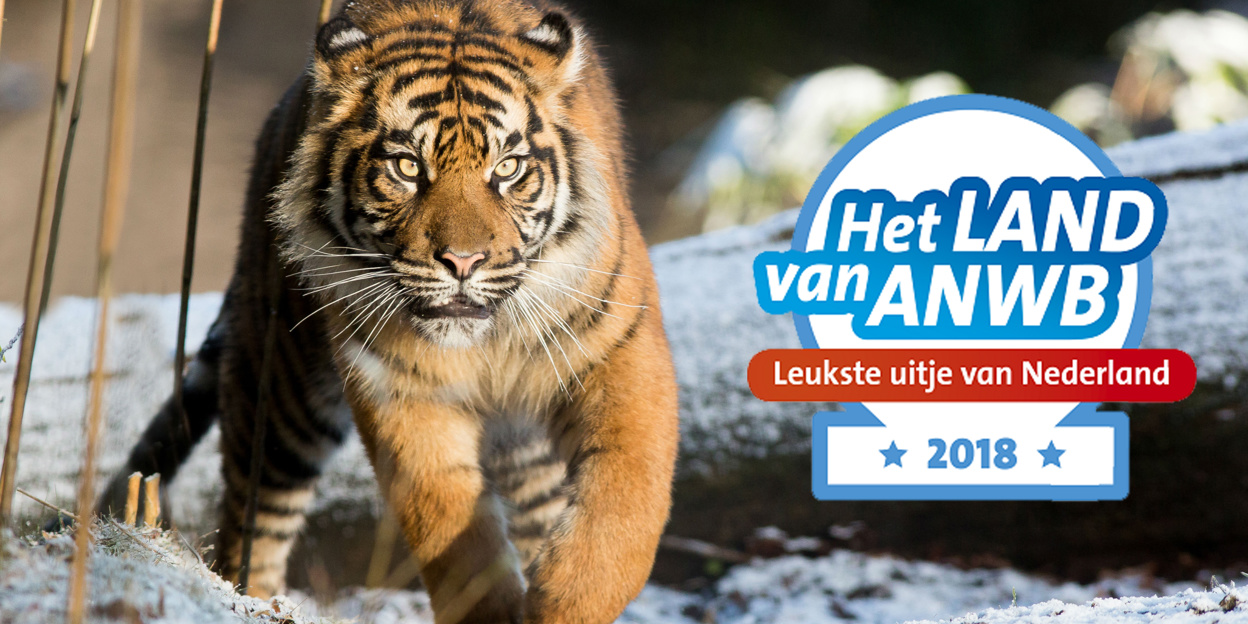 Help jij ons mee het leukste uitje van Nederland te worden?