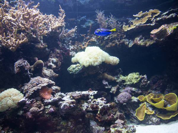 ab59ea5f-c4af-4f04-9a1e-87a6bcb2c21d