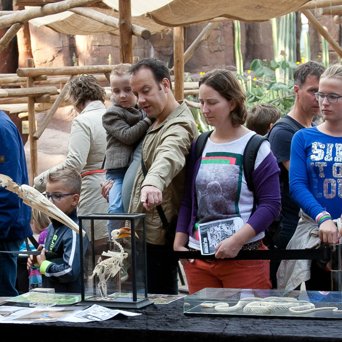 Natuurbehoud: Natuurbehoudseducatie in Burgers’ Zoo en wereldwijd
