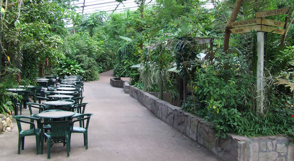 Route & Openingstijden Burgers' Zoo in Arnhem