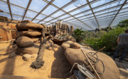 Desert update 6: De laatste fase
