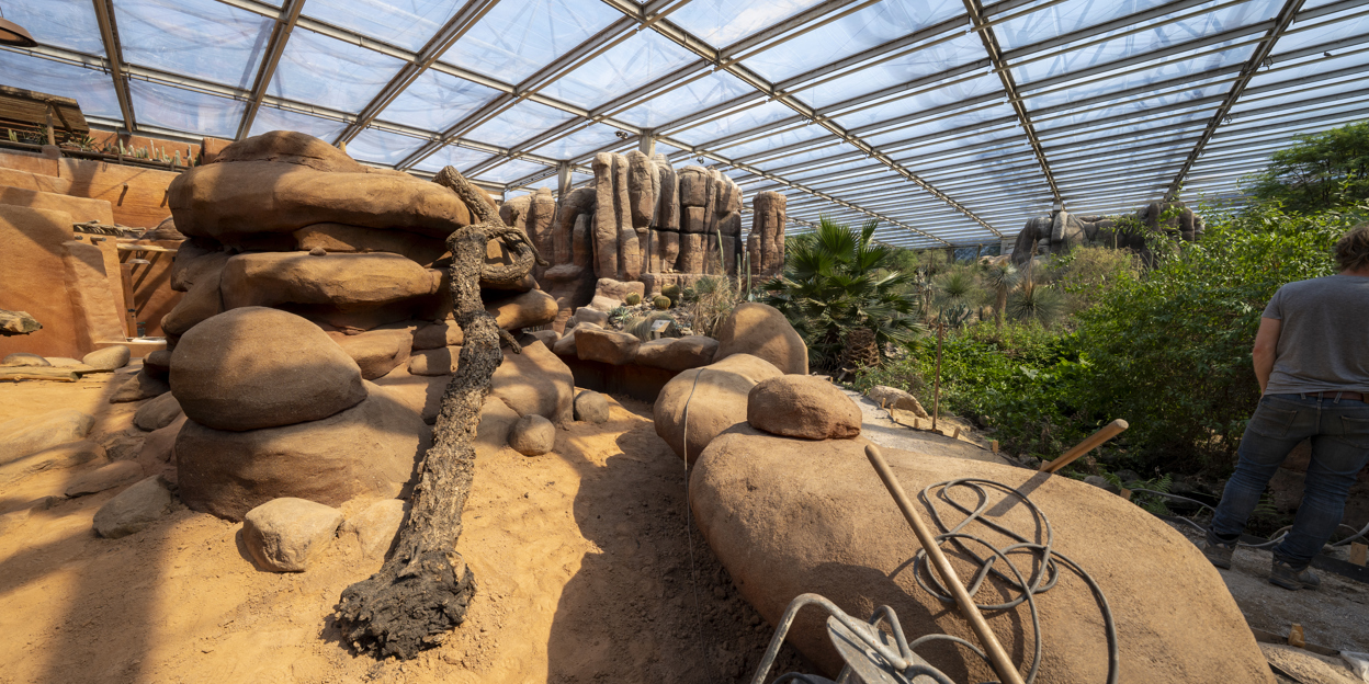Desert update 6: De laatste fase
