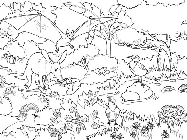 9d791271-b927-4e32-9d44-3ee194ea006d