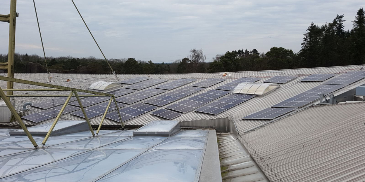 Zonnepanelen maken Burgers’ Zoo nog duurzamer