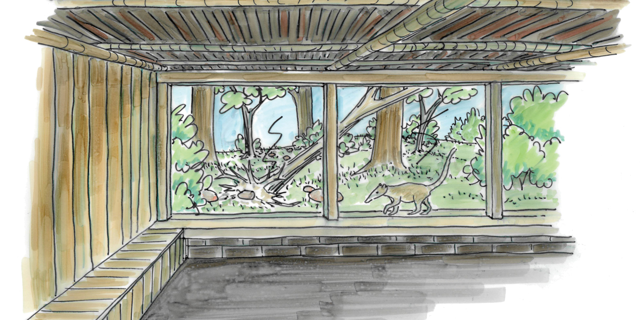 Burgers' Zoo start bouw nieuwe dierverblijven