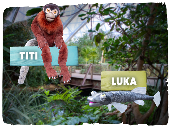 ea244baa-4054-4a14-a524-401d5bafa79c