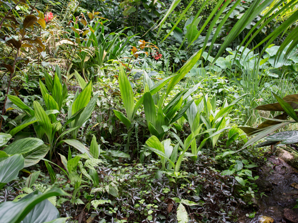 Bijzondere aanpassing aan de leefomgeving