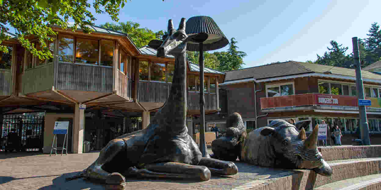 Kleurrijke beroepen in een dynamisch dierenpark