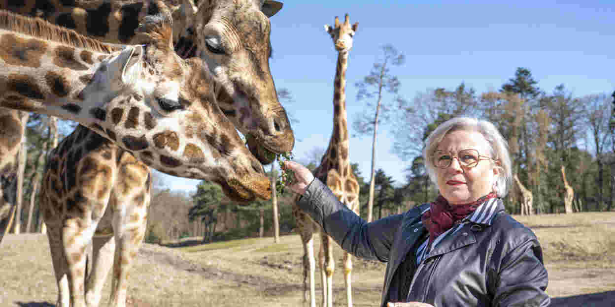 Kleurrijke beroepen in een dynamisch dierenpark