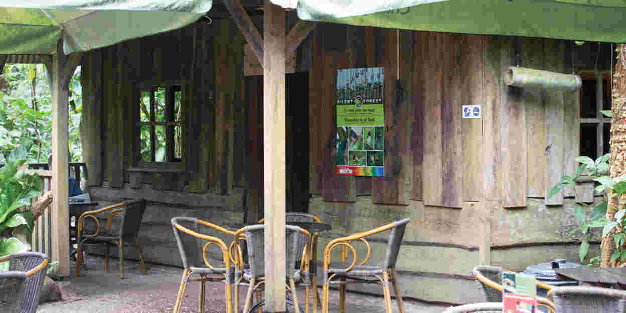 Silent Forest Campaign – Focus op vogels