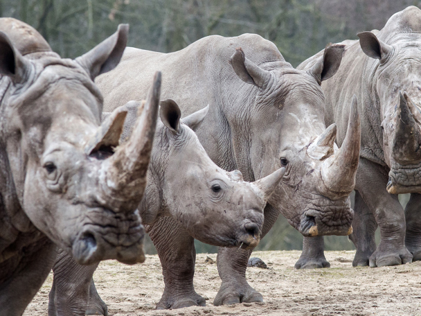 1. Bewustwording creëren 