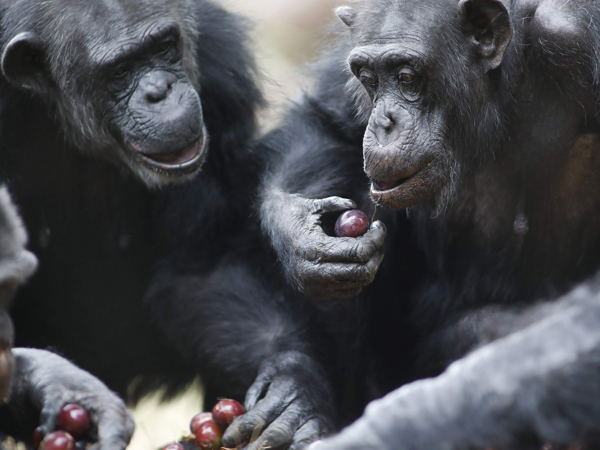 63c52b72-de7c-401a-80f5-12a0547fd8bd