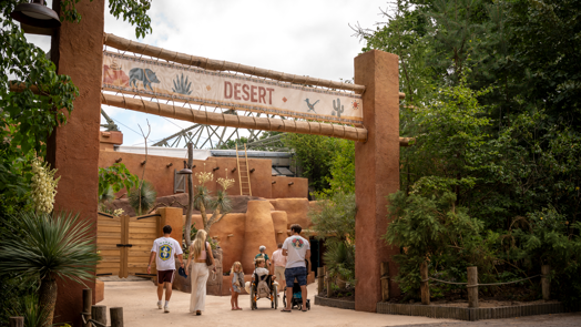 Burgers' Zoo opent Desert na omvangrijke verbouwing