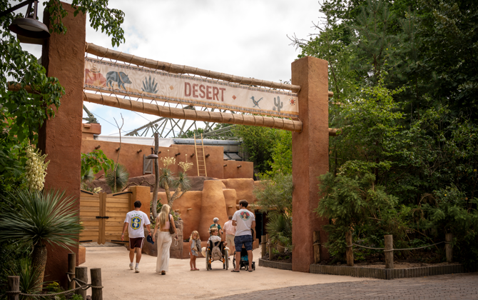 Burgers' Zoo opent Desert na omvangrijke verbouwing