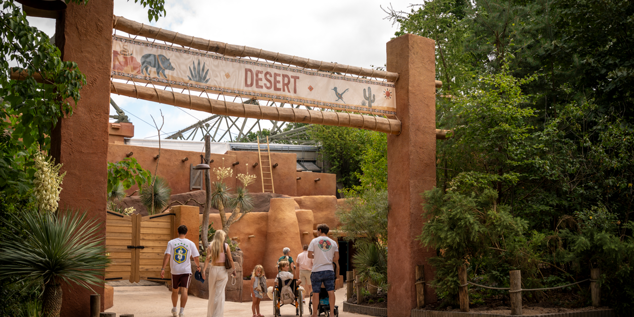 Burgers' Zoo opent Desert na omvangrijke verbouwing