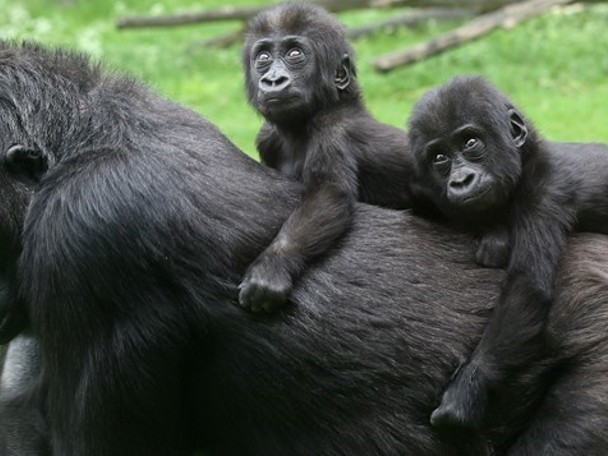 Spannende rondleidingen