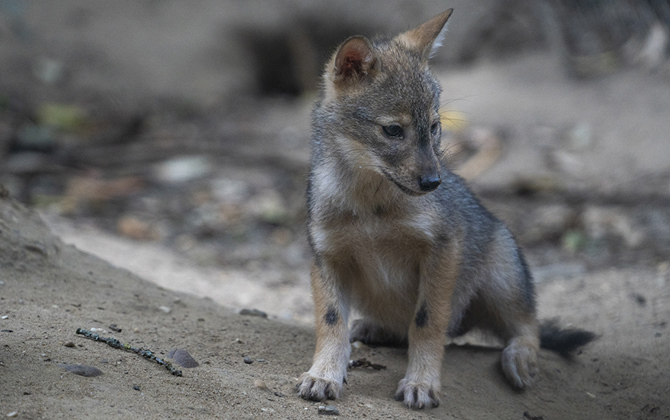 Flink wat leven in de brouwerij!