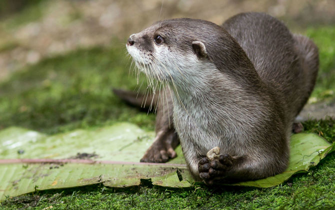 Een gezellige familie