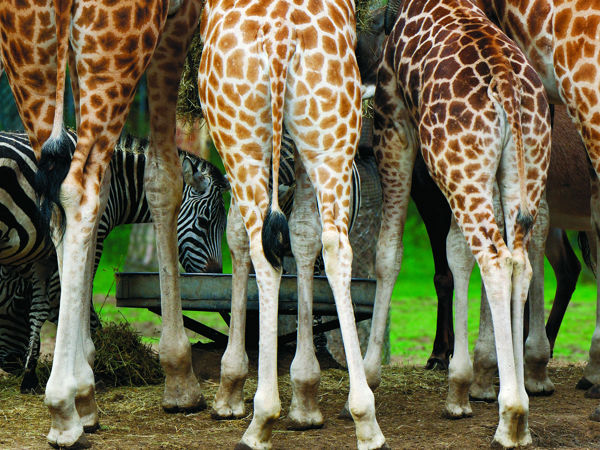 bc9e4c02-fc20-4d67-a254-a60fc6351677