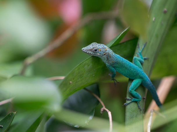 Rijke biodiversiteit