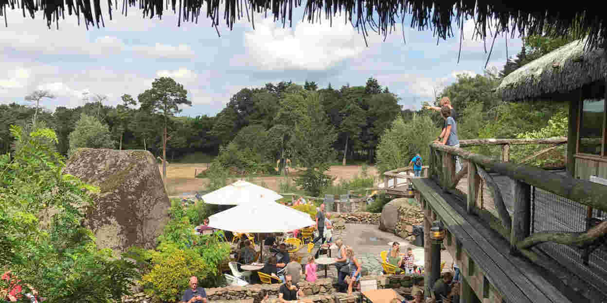 Het Safari-terras is vernieuwd