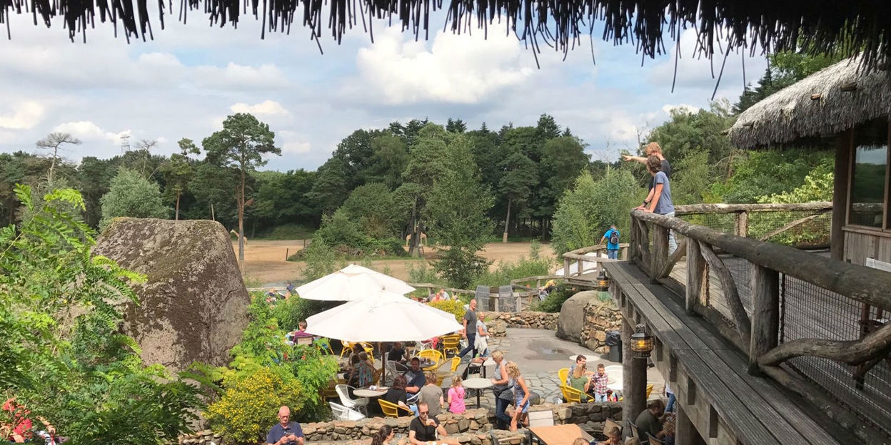 Het Safari-terras is vernieuwd