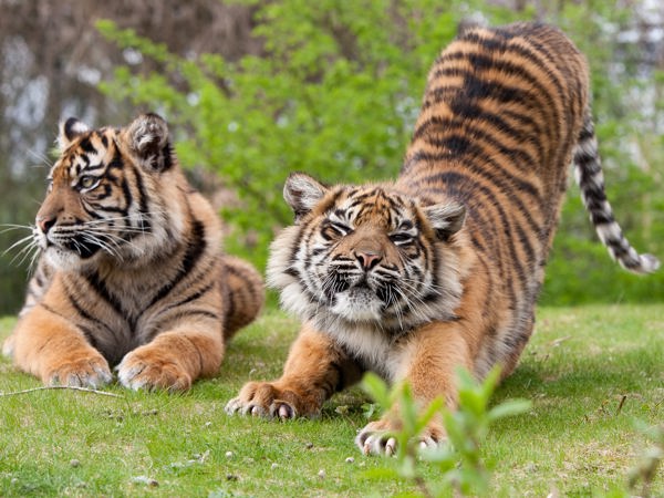 438fec5d-0099-4acb-96d3-968c9009b32f