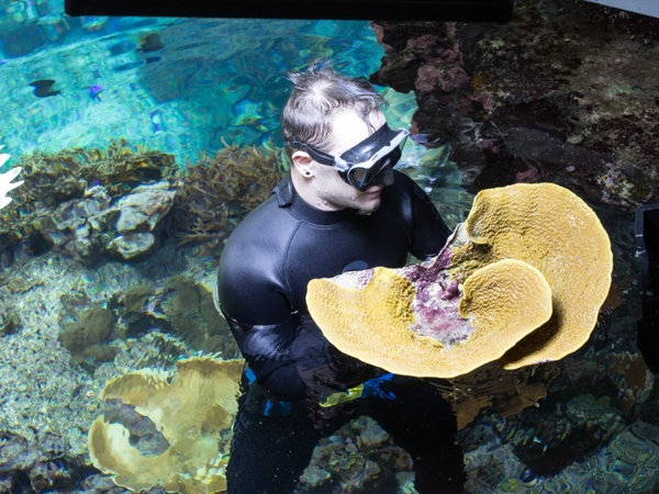 12c0c75f-3975-4d09-a5a3-1ad18a5f62ea