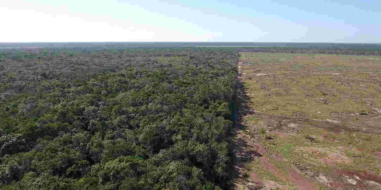 Historische en politieke invloeden op natuurbehoud