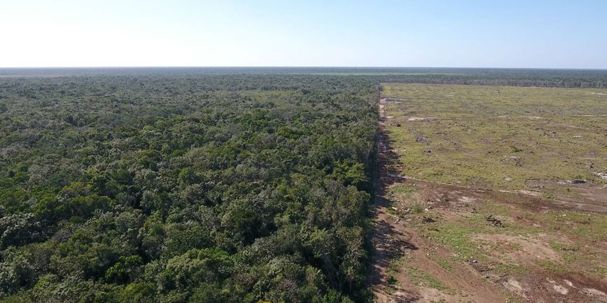 Historische en politieke invloeden op natuurbehoud