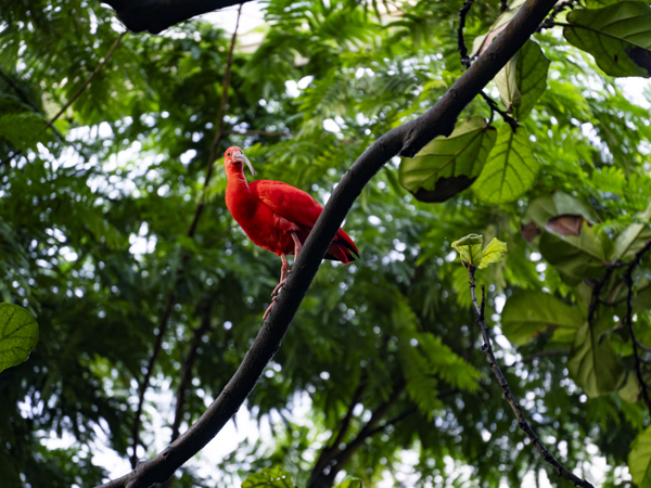 095c9d0e-d9b9-4a25-9eaf-1e307363a1ea