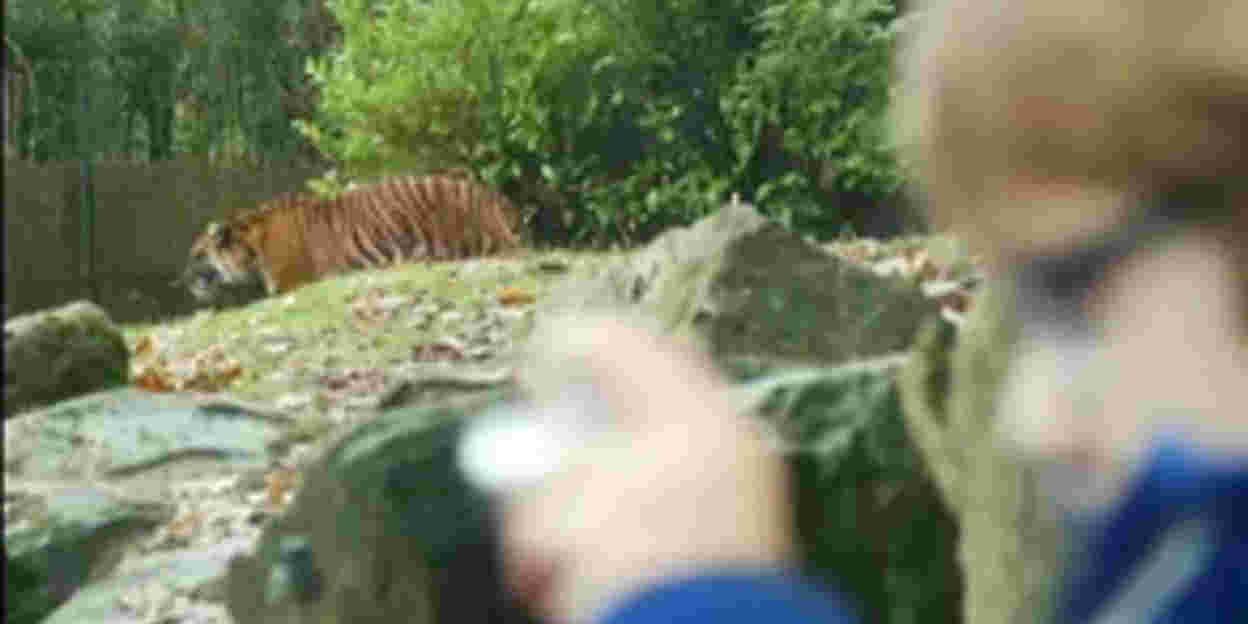 Een bijzonder verhaal in Burgers' Zoo?