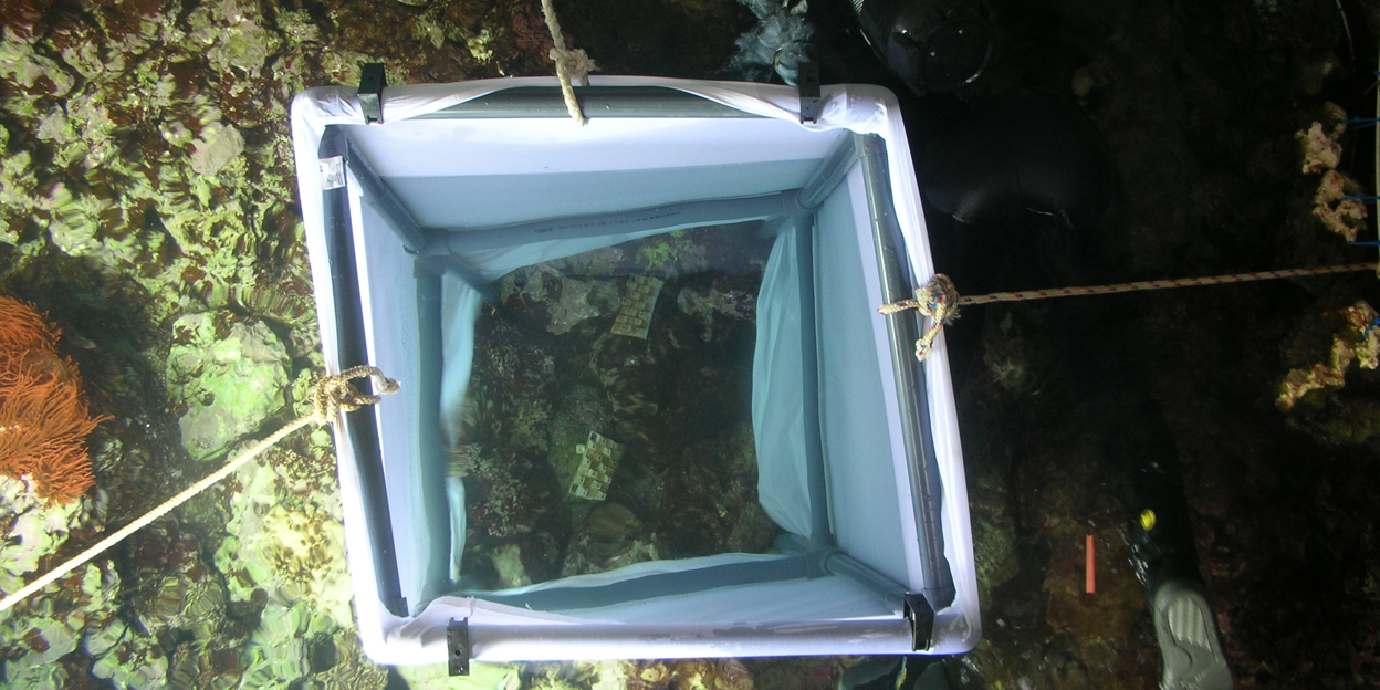 Kamperen in de Ocean