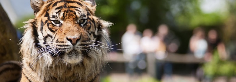 Burgers' Zoo - Abonnement afsluiten