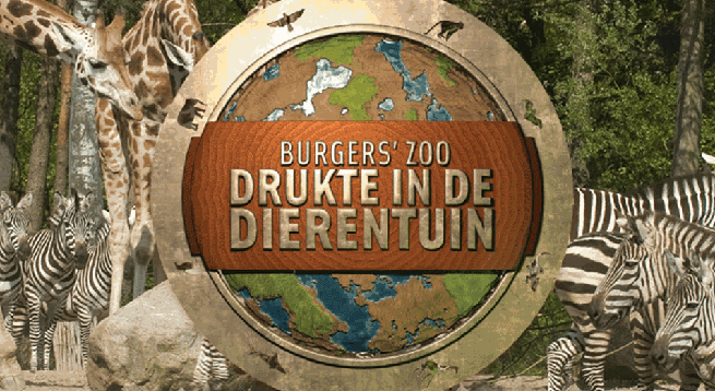 Video | Burgers' Zoo in Arnhem