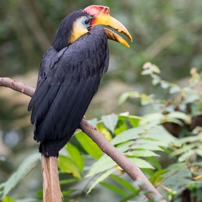 Bedreiging en bescherming