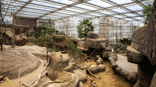 Desert-blog 1: de kop is eraf!