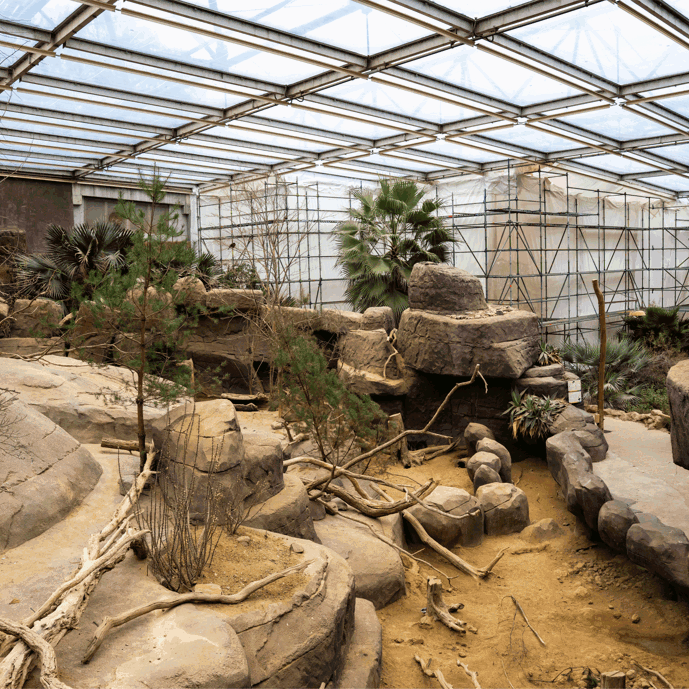 Desert-blog 1: de kop is eraf!